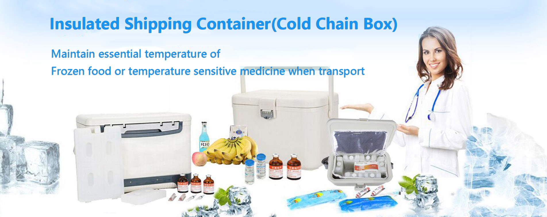 Insulated Shipping Container, Cold Chain Box